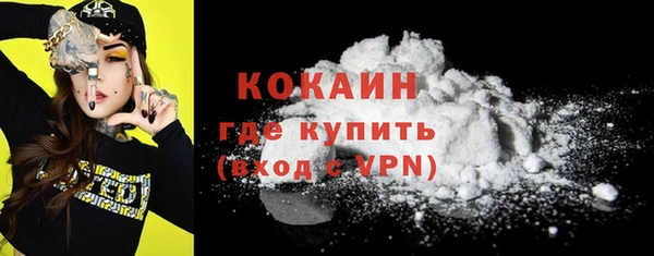 ECSTASY Богданович