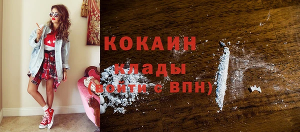 ECSTASY Богданович