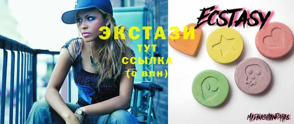 ECSTASY Богданович
