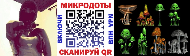 Галлюциногенные грибы мухоморы как найти закладки Дальнереченск